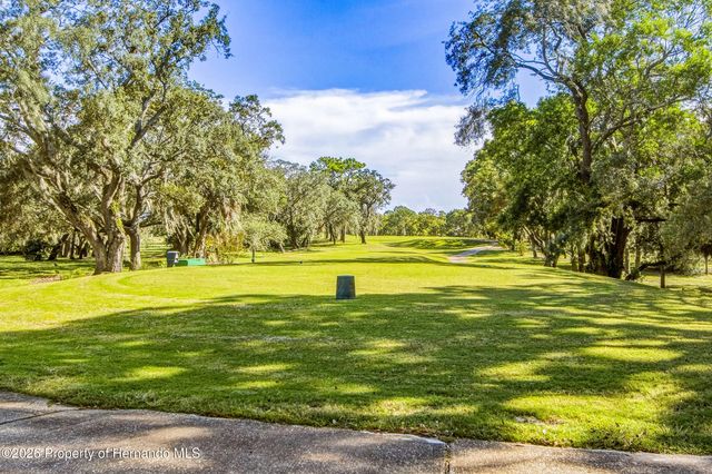 10143 Duffy Circle, Weeki Wachee, FL 34613