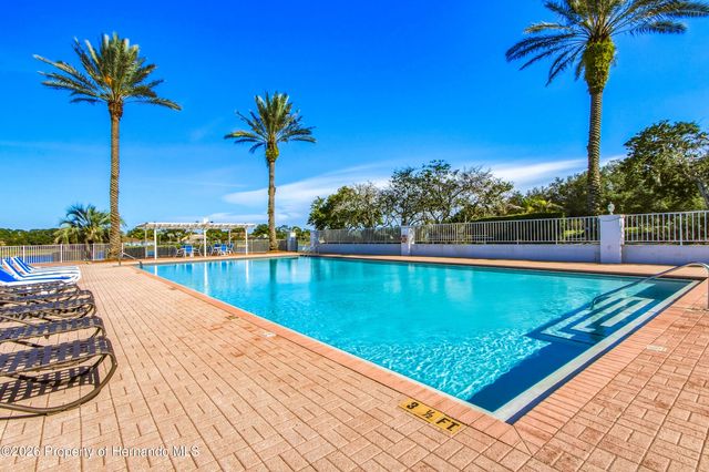 10143 Duffy Circle, Weeki Wachee, FL 34613