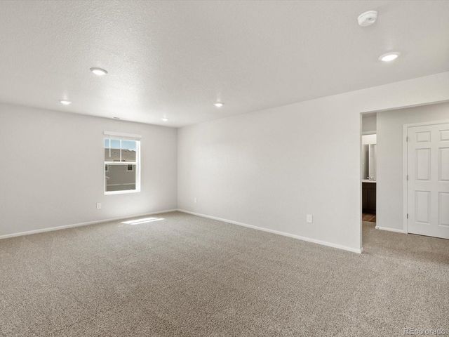 1129 Thunder Pass Rd, Severance, CO 80550