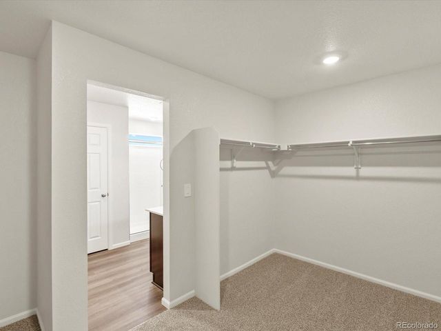 1129 Thunder Pass Rd, Severance, CO 80550