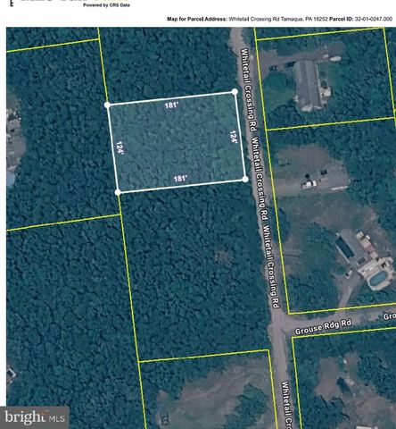 247 WHITETAIL RD, Tamaqua, PA 18252