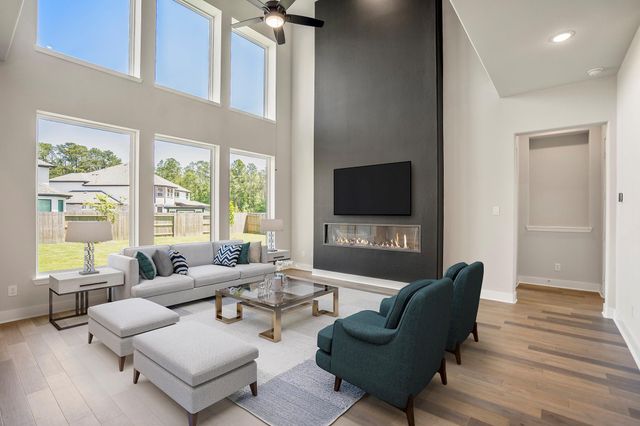 15715 Dandelion Dreams Street, Conroe, TX 77302