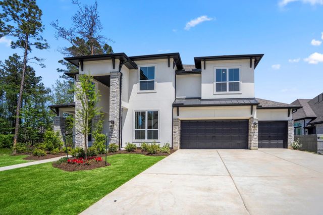 15715 Dandelion Dreams Street, Conroe, TX 77302