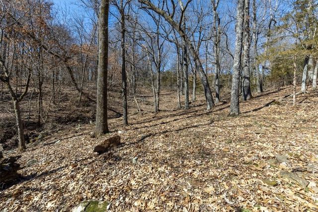 3641 Kessler Mountain Road, Fayetteville, AR 72701