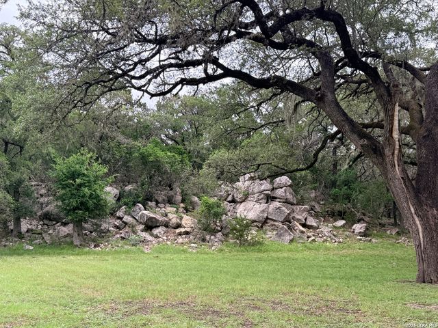1314 CEDAR GROVE TRL, Spring Branch, TX 78070
