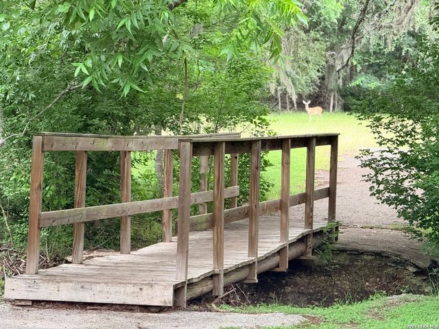 1314 CEDAR GROVE TRL, Spring Branch, TX 78070