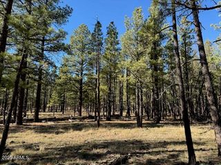 Lot 3L N Quintana Drive -, Flagstaff, AZ 86001