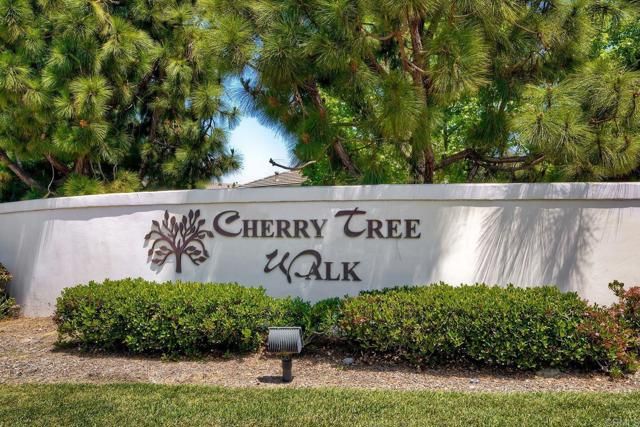 1309 Verbena Ct, Carlsbad, CA 92011