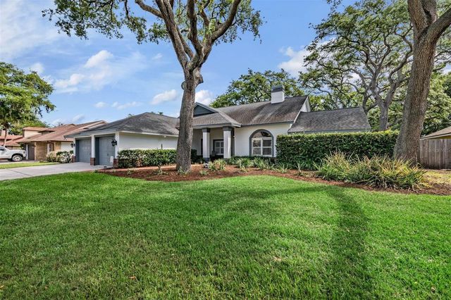 2542 MASON OAKS DRIVE, Valrico, FL 33596