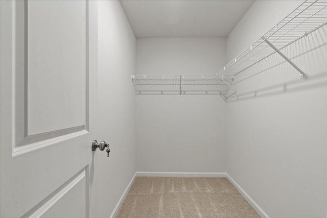 4051 Thimbleberry Drive, Graniteville, SC 29829