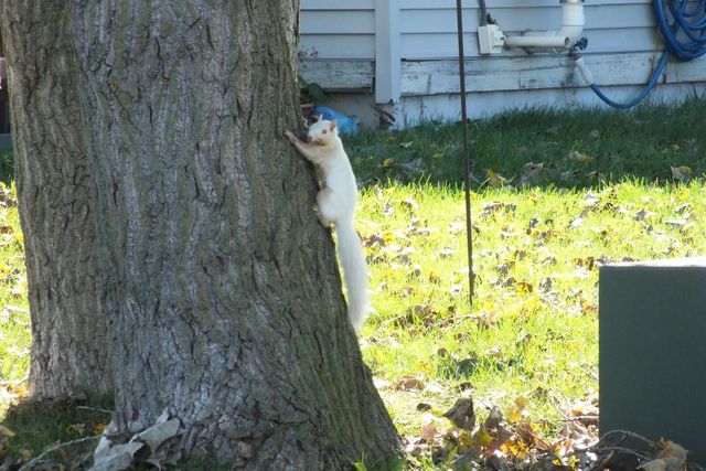 1221 Lombardi WAY, Waukesha, WI 53186