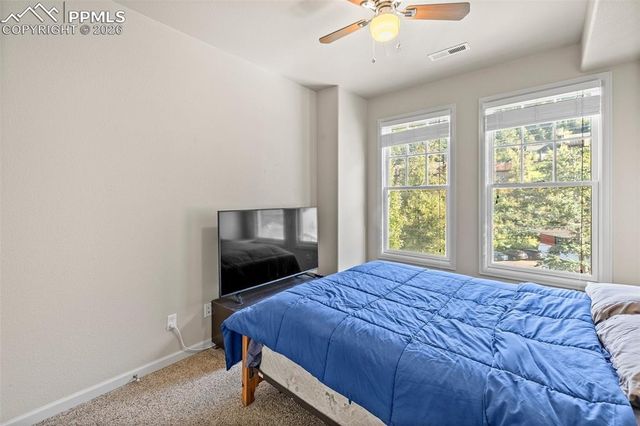 446 Winter Street, Manitou Springs, CO 80829