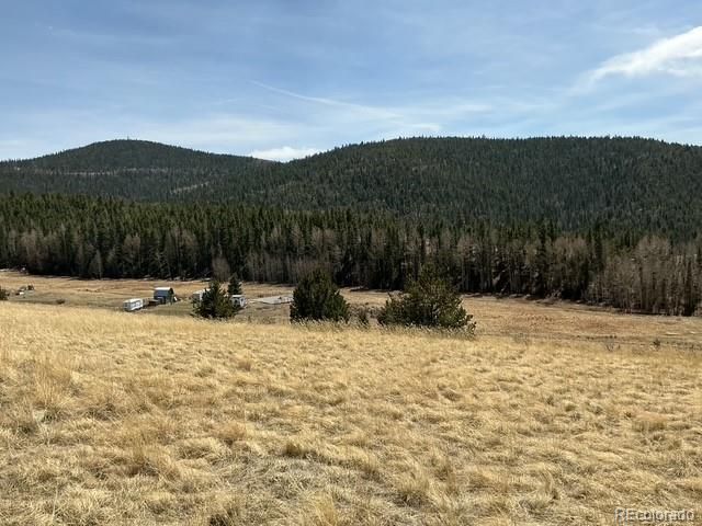 00 Rhyolite Mountain Mesa, Cripple Creek, CO 80813