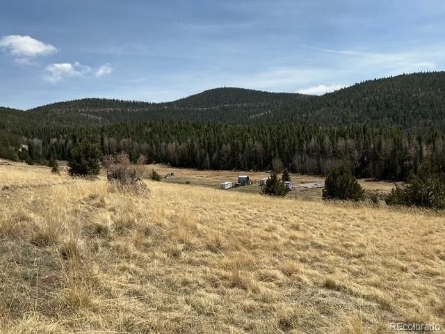 00 Rhyolite Mountain Mesa, Cripple Creek, CO 80813