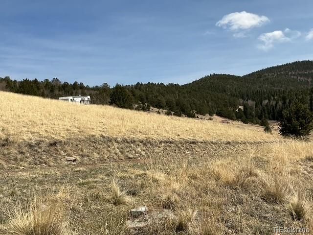 00 Rhyolite Mountain Mesa, Cripple Creek, CO 80813