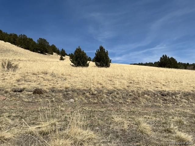 00 Rhyolite Mountain Mesa, Cripple Creek, CO 80813