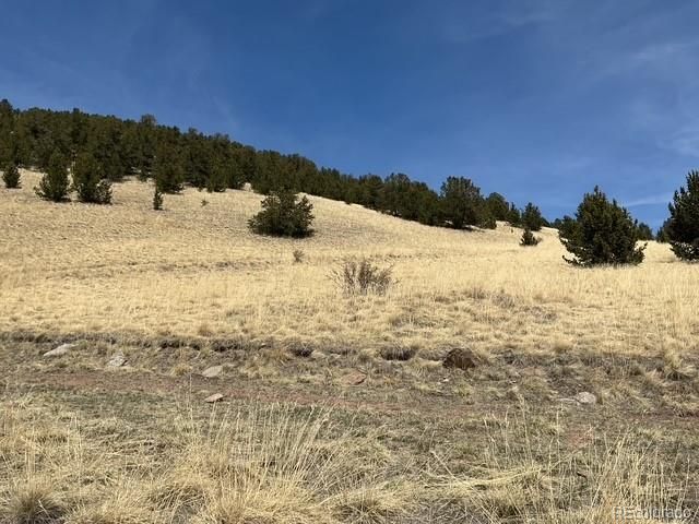 00 Rhyolite Mountain Mesa, Cripple Creek, CO 80813