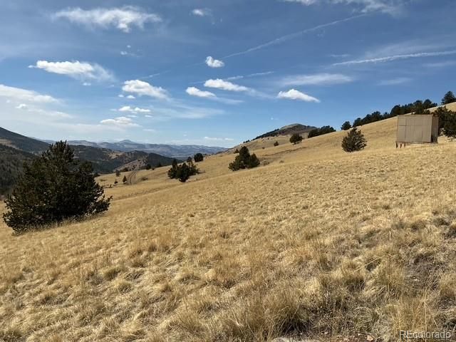00 Rhyolite Mountain Mesa, Cripple Creek, CO 80813