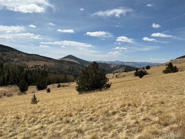 00 Rhyolite Mountain Mesa, Cripple Creek, CO 80813