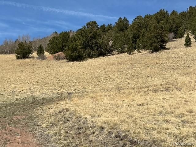 00 Rhyolite Mountain Mesa, Cripple Creek, CO 80813