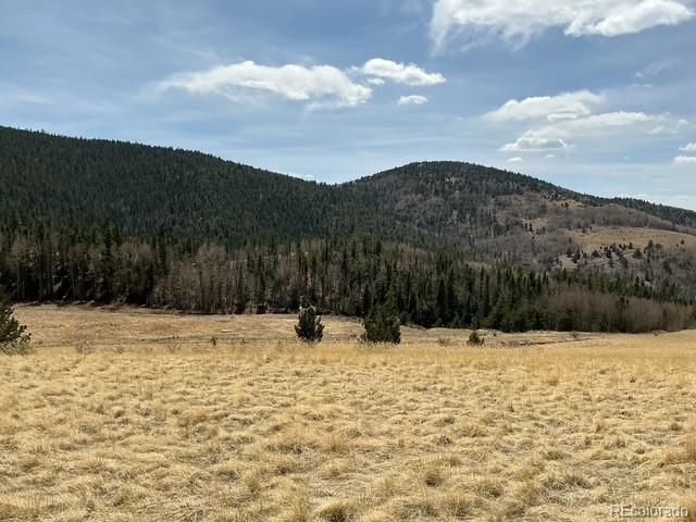 00 Rhyolite Mountain Mesa, Cripple Creek, CO 80813