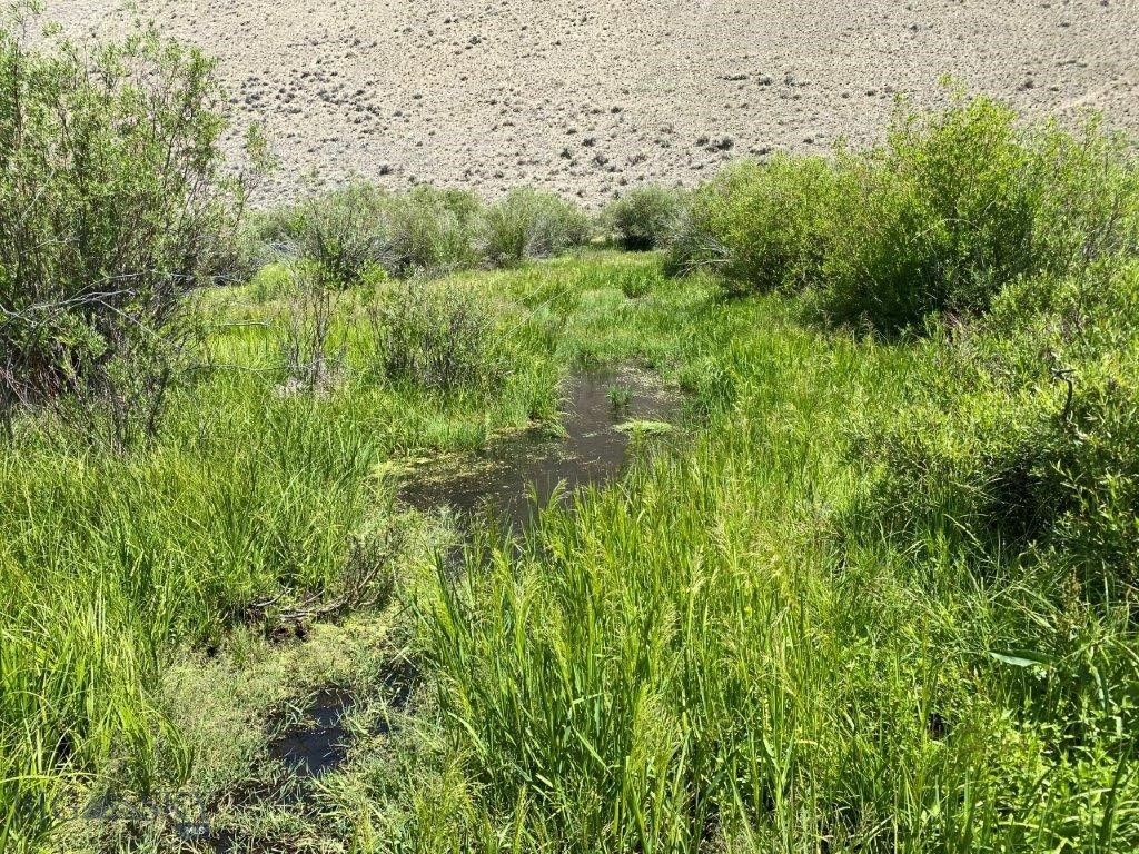NHN North Camp Creek Road, Butte, MT 59701 photo 2