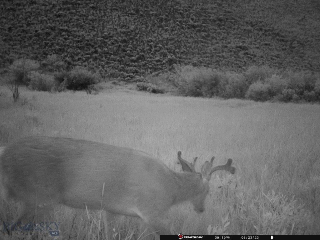 NHN North Camp Creek Road, Butte, MT 59701 photo 4