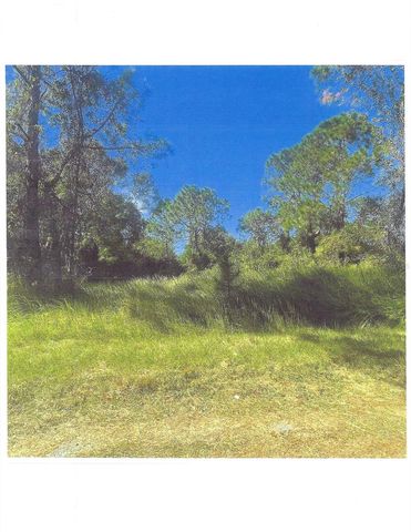 1016 ORCHID DRIVE, Indian Lake Estates, FL 33855