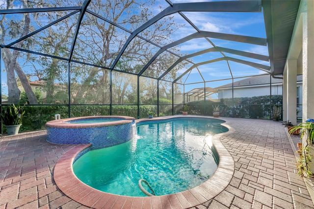 15616 STARLING WATER DRIVE, Lithia, FL 33547