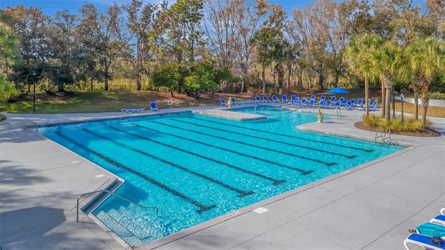 15616 STARLING WATER DRIVE, Lithia, FL 33547