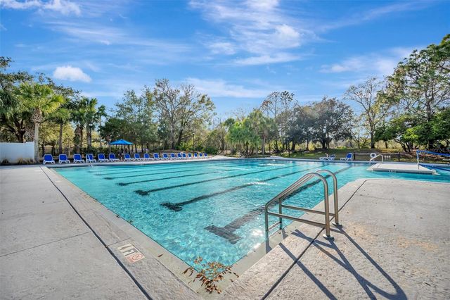 15616 STARLING WATER DRIVE, Lithia, FL 33547