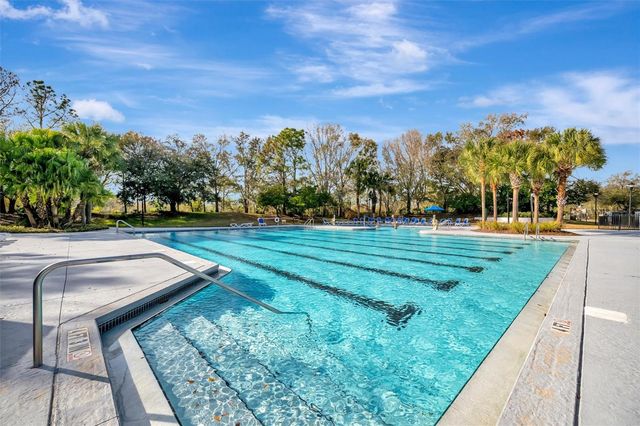 15616 STARLING WATER DRIVE, Lithia, FL 33547