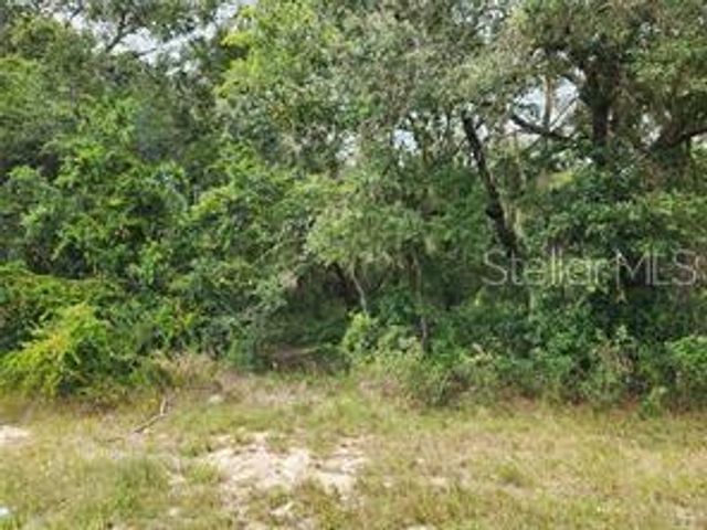ORANGE RD, Ocklawaha, FL 32179