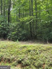 00 Chopped Oak, Ellijay, GA 30540