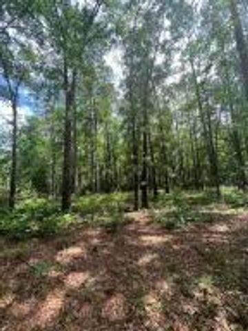 0 White Sands Road, Walterboro, SC 29488