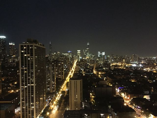 1660 N LaSalle Street 3407, Chicago, IL 60614