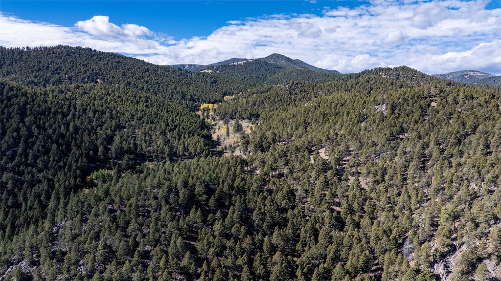 37 Quartz Creek Road, Clancy, MT 59634 photo 65