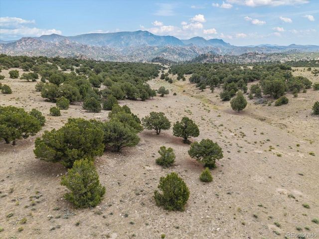 11355 E County Road 270, Nathrop, CO 81236