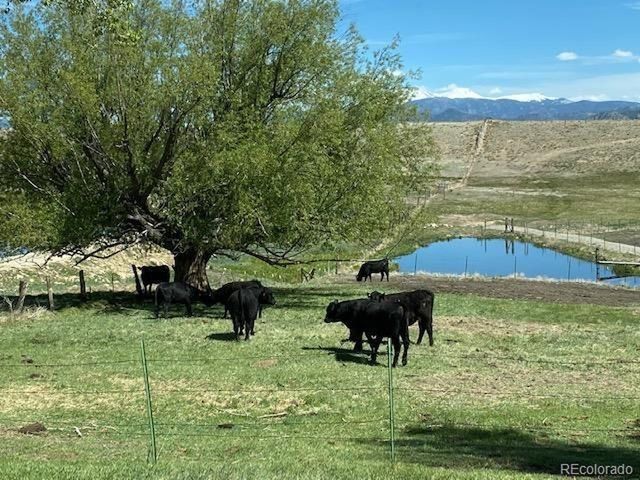 11355 E County Road 270, Nathrop, CO 81236