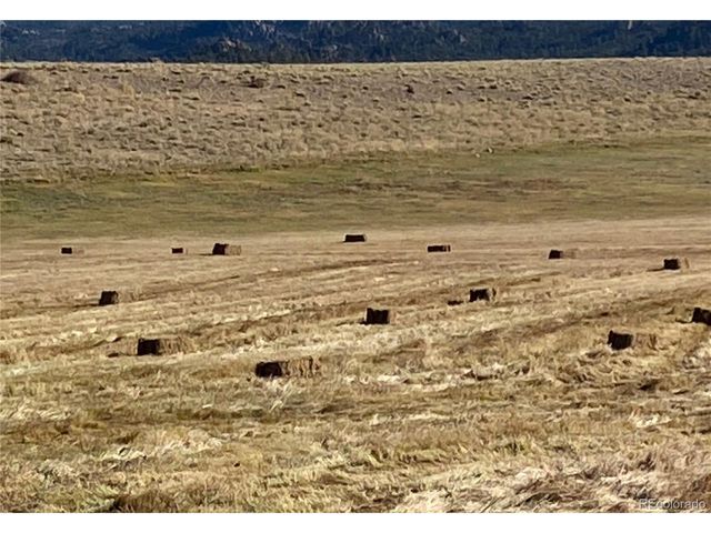 11355 E County Road 270, Nathrop, CO 81236