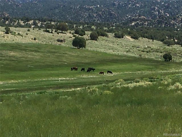 11355 E County Road 270, Nathrop, CO 81236