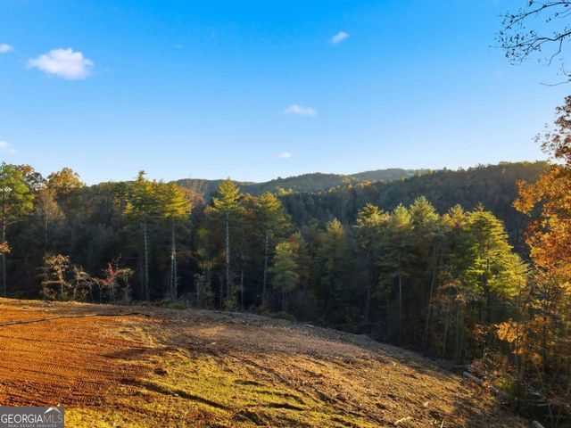 1783 Hunter Drive, Ranger, GA 30734