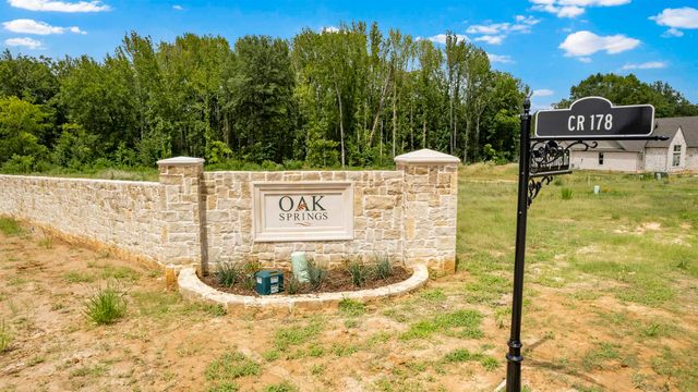 15125 Tilley Springs Cv., Tyler, TX 75703