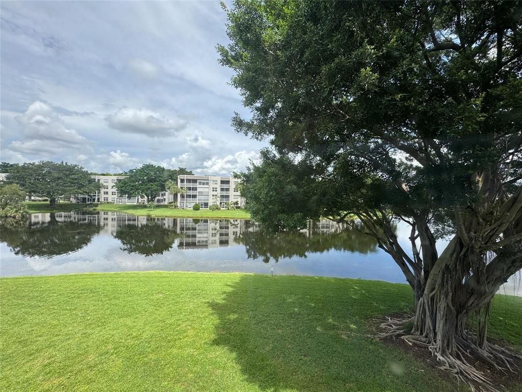 9235 Lagoon Place 310, Davie, FL 33324