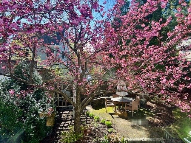 121 Thorndike Street, Brookline, MA 02446