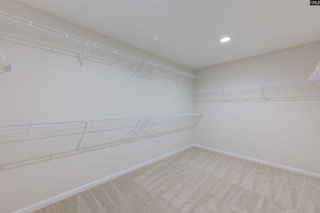 139 Texas Black Way, Elgin, SC 29045