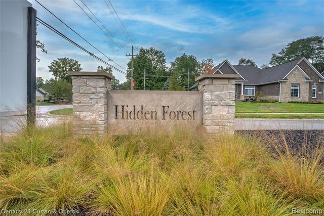 52546 W Shadowview Drive, Northville, MI 48167