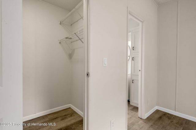 18008 Greensboro Street, Spring Hill(pasco), FL 34610