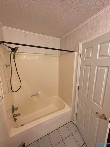 3956 Sullivan Street, Madison, AL 35758