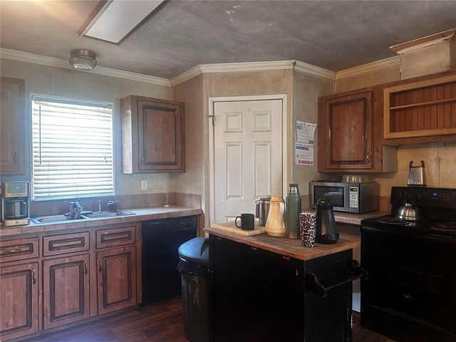 15080 NE 242ND AVENUE, Salt Springs, FL 32134